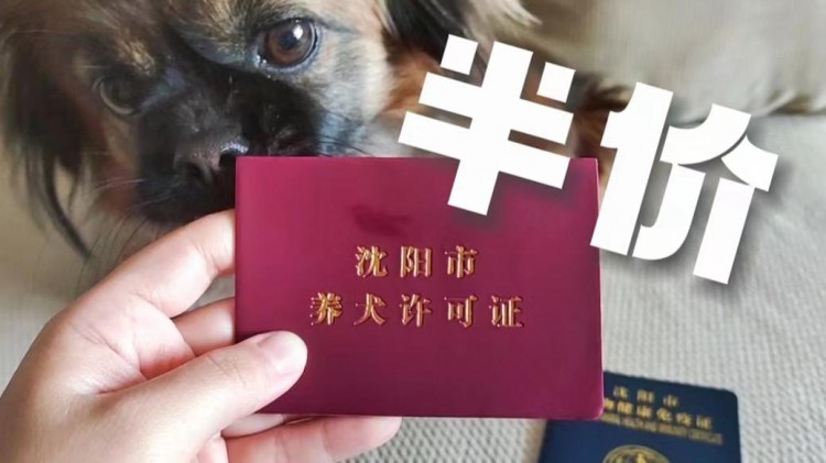 在沈阳，给狗办理犬证是有半价优惠的，需要准备些什么材料呢？