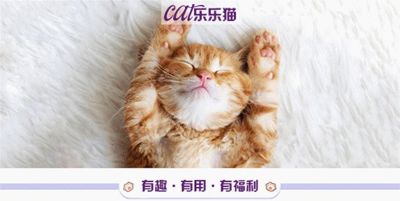 一只猫咪，到底能够有多矫情？